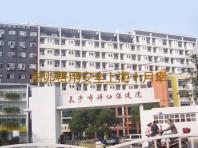 借卵费用安全上海十月幸孕,上海瑞金医院借卵做试管婴儿费用详解-清宫表准吗