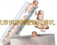 北京供卵试管如何避坑,北京正规供卵医院第三试管代怀